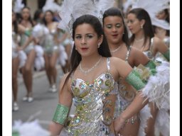 Carnaval de Mula 2014